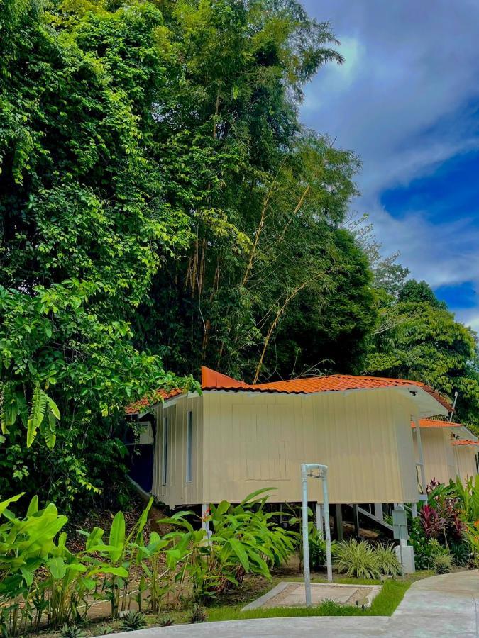 ホテルGrand Park Manuel Antonio ケポス エクステリア 写真