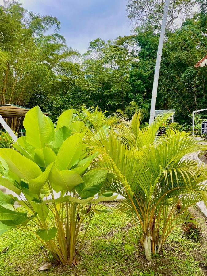 ホテルGrand Park Manuel Antonio ケポス エクステリア 写真